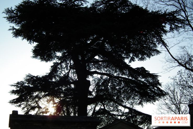 Le Père Lachaise, le cimetière le plus mythique de Paris et ses tombes de personnalités célèbres