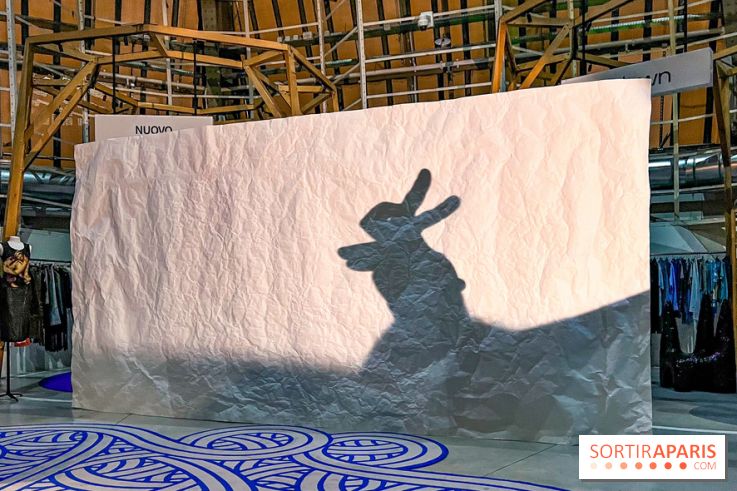 Spectacle d'ombres au Printemps Haussmann - IMG 4417 jpg