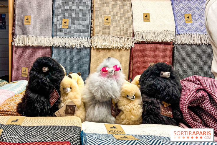 Le Marché de Noël de Boulogne Billancourt (92) - image00039