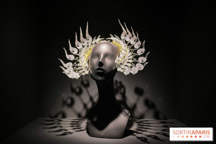 L’exposition retrospective de la créatrice de mode Iris Van Herpen au Musée des Arts Décoratifs - image00102