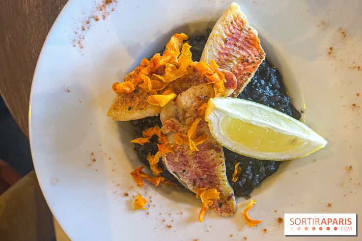 Mon Coco, la brasserie à République - nos photos - image00001