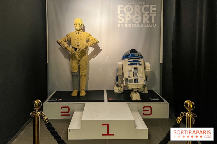 Exposition LEGO à Clichy - IMG 8848