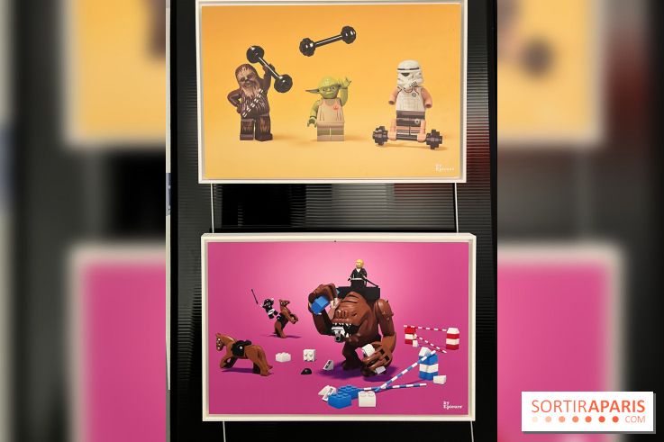 Exposition LEGO à Clichy - IMG 8859