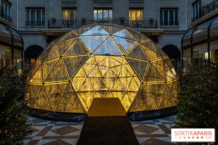 Le Four Seasons George V et ses décorations de fêtes -  A7C9880 2