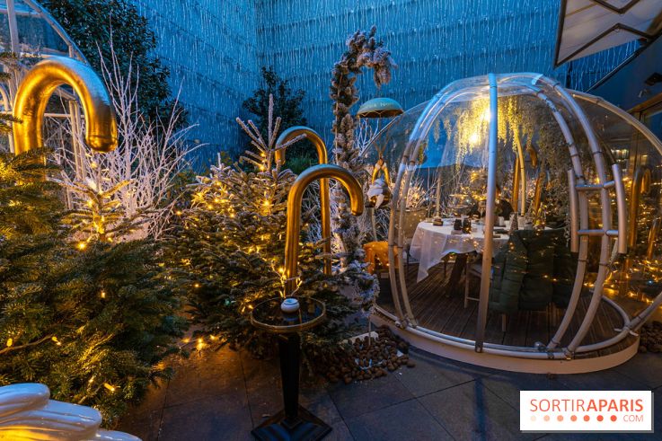 Le Tea Time du Joy à l'Hôtel Fouquet's sur sa terrasse d'hiver enchantée -  A7C9654