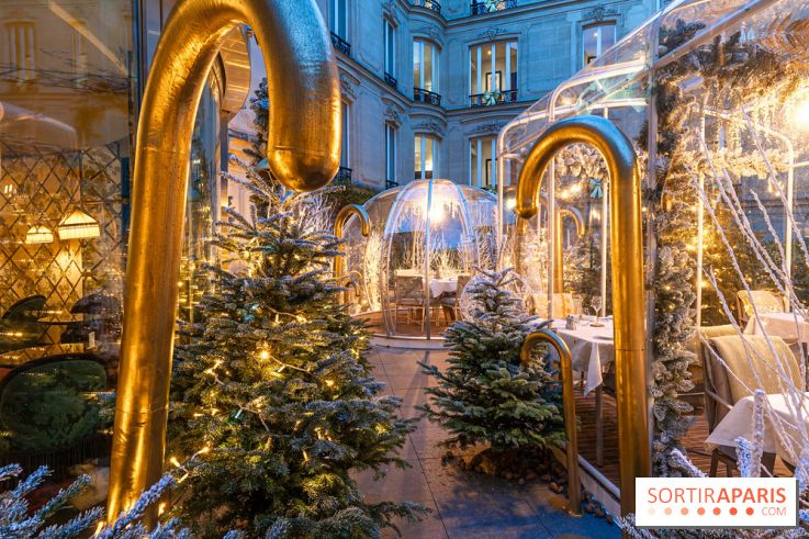 Le Tea Time du Joy à l'Hôtel Fouquet's sur sa terrasse d'hiver enchantée -  A7C9661