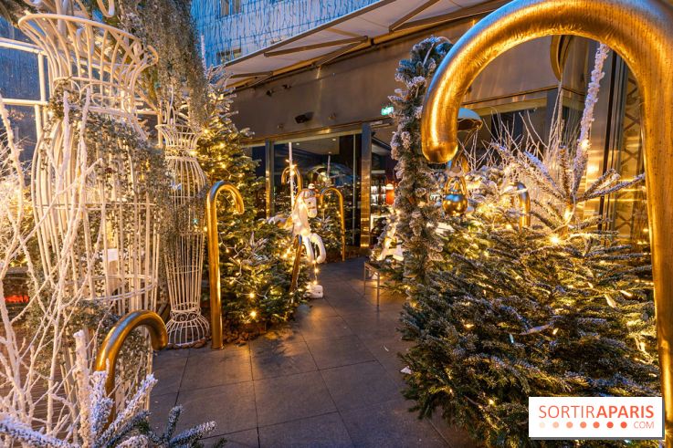 Le Tea Time du Joy à l'Hôtel Fouquet's sur sa terrasse d'hiver enchantée -  A7C9666