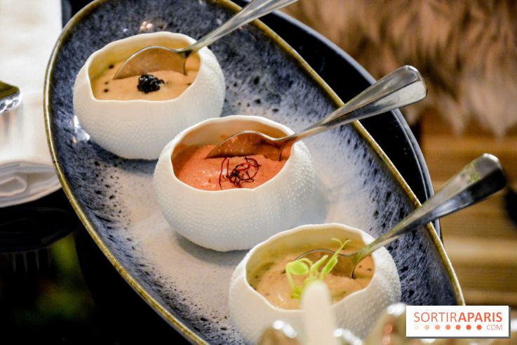 La Bulle de l'Hôtel du Collectionneur pour un apéritif d'exception - DSC 0611