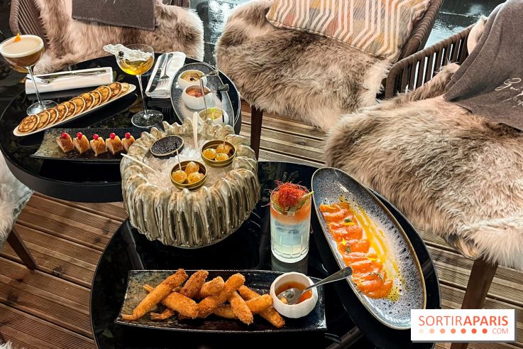 La Bulle de l'Hôtel du Collectionneur pour un apéritif d'exception - FullSizeRender 4