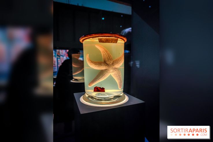 Objectif mer, l'exposition autour du 7e art à découvrir au musée de la Marine - nos photos - IMG20231207103735