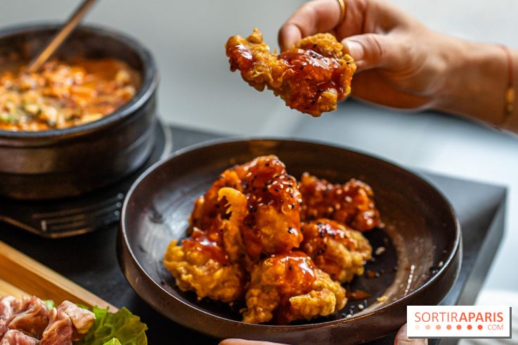 Jjin, le restaurant barbecue coréen de Montparnasse à Paris aux bonnes viandes -  A7C0126