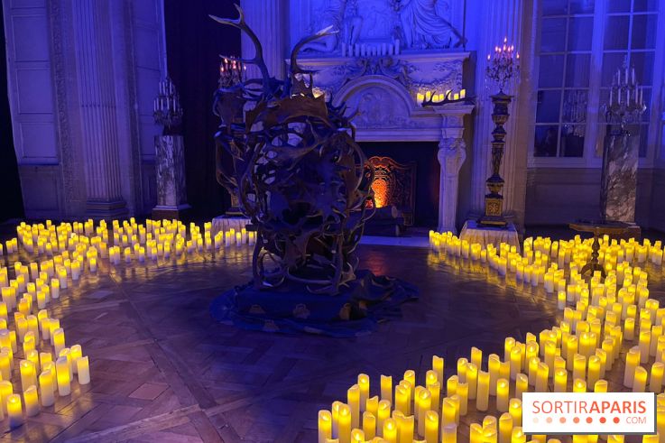 La Belle et la Bête, le spectacle au château de Maisons-Laffitte - nos photos
