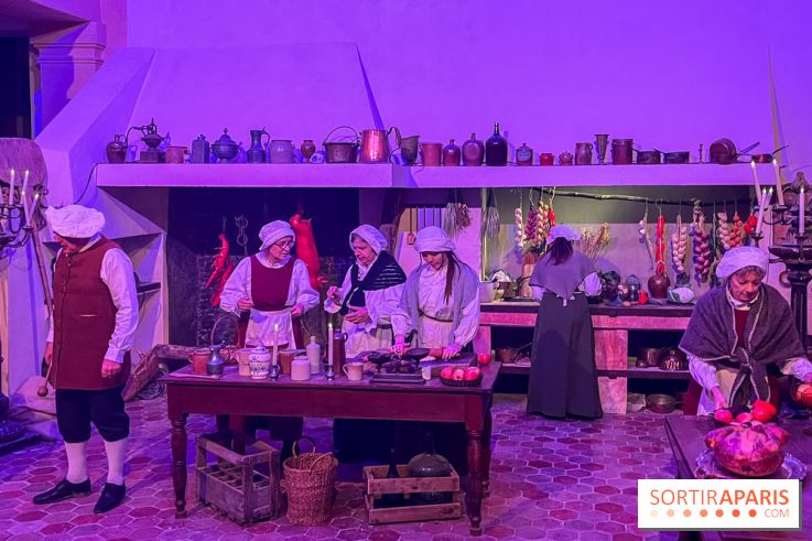 La Belle et la Bête, le spectacle au château de Maisons-Laffitte - nos photos - image00011