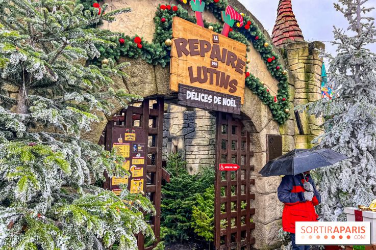 Noël au Parc Astérix 2023, sentier de lumières et patinoire - IMG 4924