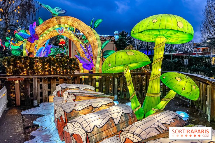 Noël au Parc Astérix 2023, sentier de lumières et patinoire - IMG 4964