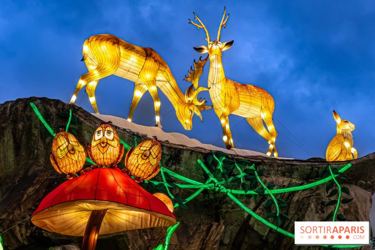 Noël au Parc Astérix 2023, sentier de lumières et patinoire