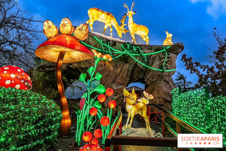 Noël au Parc Astérix 2023, sentier de lumières et patinoire - IMG 4973