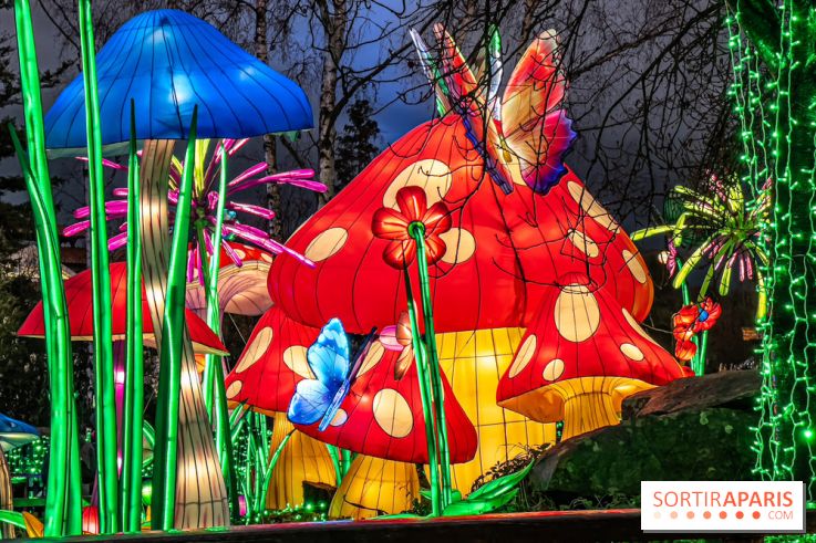 Noël au Parc Astérix 2023, sentier de lumières et patinoire