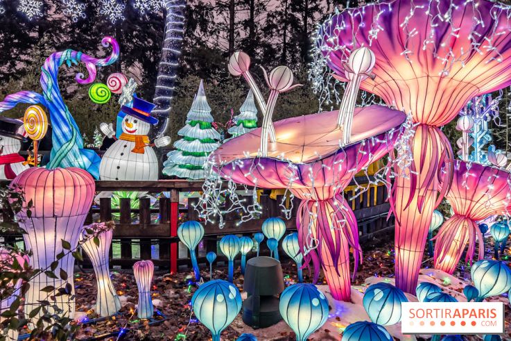 Noël au Parc Astérix 2023, sentier de lumières et patinoire - IMG 4996