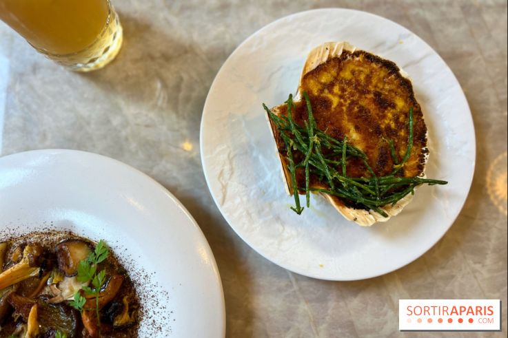 Le Boréal - Saint-Jacques gratinée