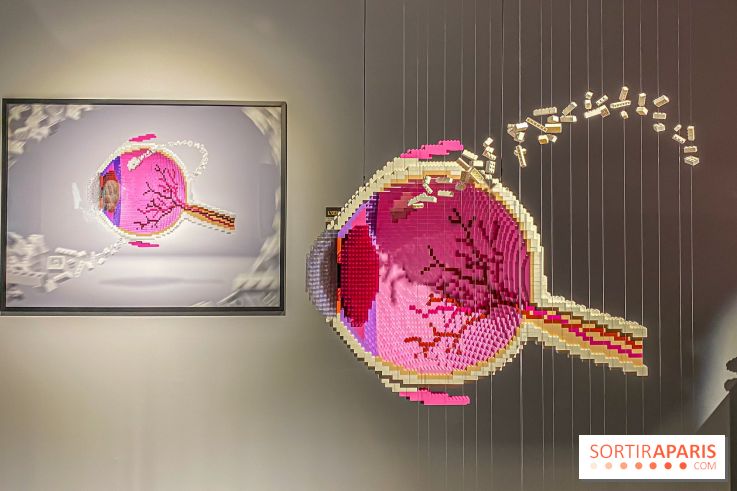 Expo The Art of The Brick Galerie Montparnasse - IMG 3048