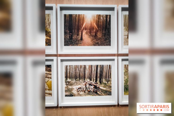 I need to live, l'exposition surprenante de Juergen Teller à voir au Grand Palais Ephémère à Paris