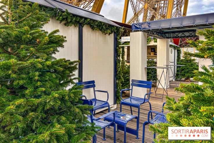 Marché de Noël de la tour Eiffel - image00020