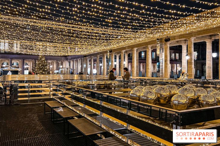 La Patinoire AMI Paris au Palais Royal - image00020