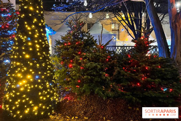 Bel Hiver 2023 à Saint-Denis - nos photos - image00013