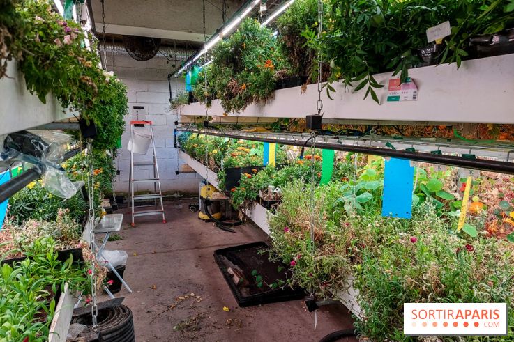 La Caverne, ferme urbaine bio à Paris, nos photos - 20240122 145108