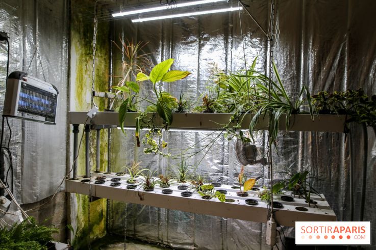 La Caverne, ferme urbaine bio à Paris, nos photos