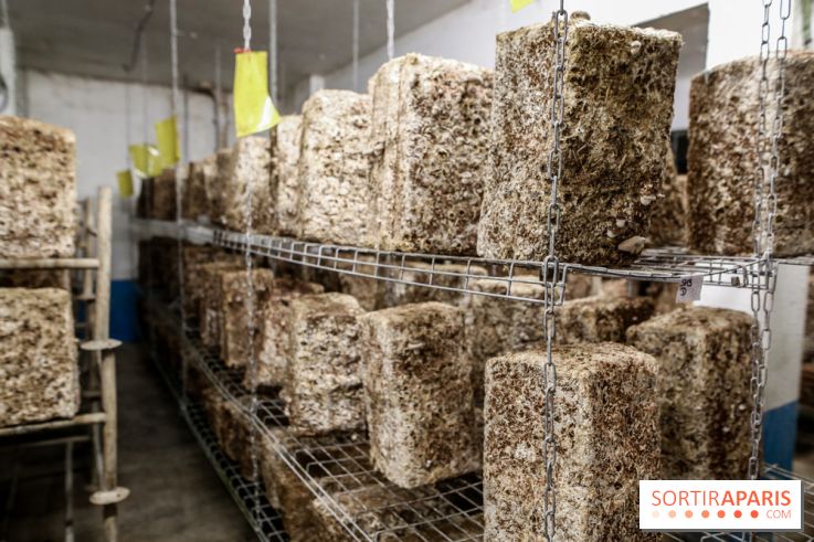 La Caverne, ferme urbaine bio à Paris, nos photos