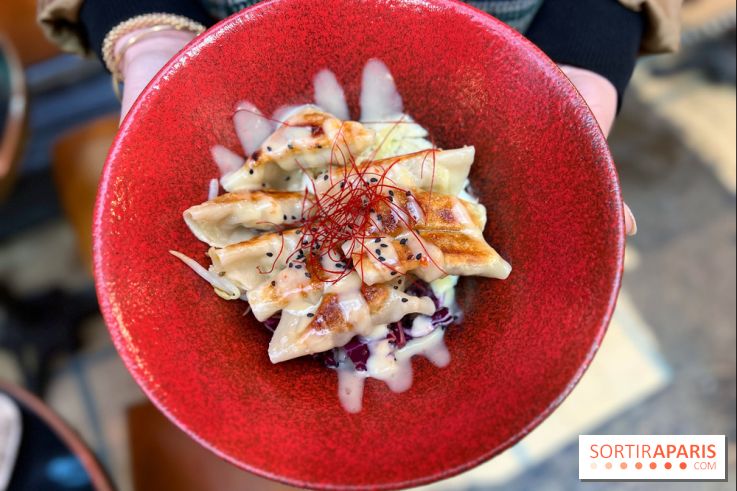 Gyoza Bar - Gyozas porc