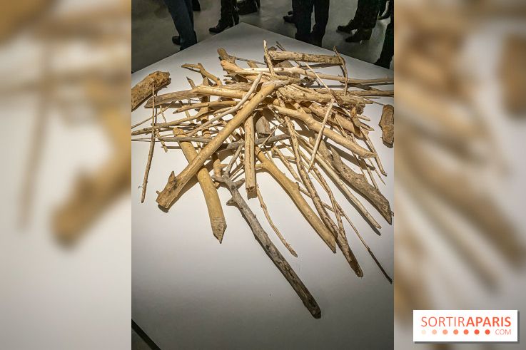 Suzanne Husky au Drawing Lab - IMG 4189