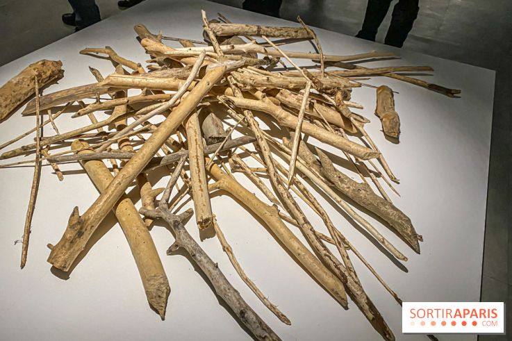 Suzanne Husky au Drawing Lab - IMG 4190