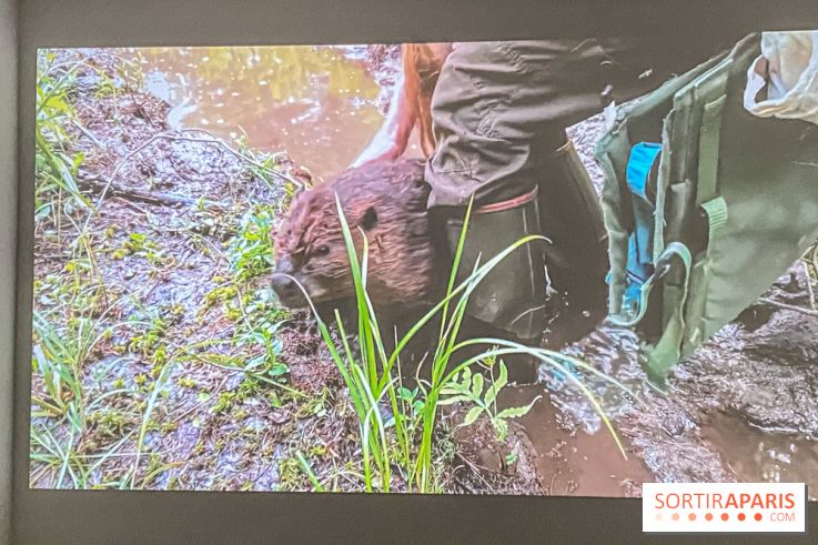 Suzanne Husky au Drawing Lab - IMG 4206