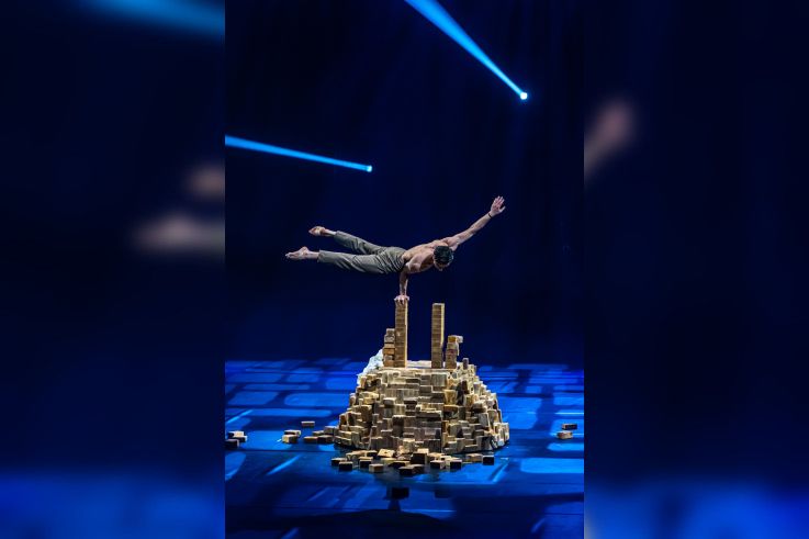 Festival Mondial du Cirque de Demain 2024, les photos