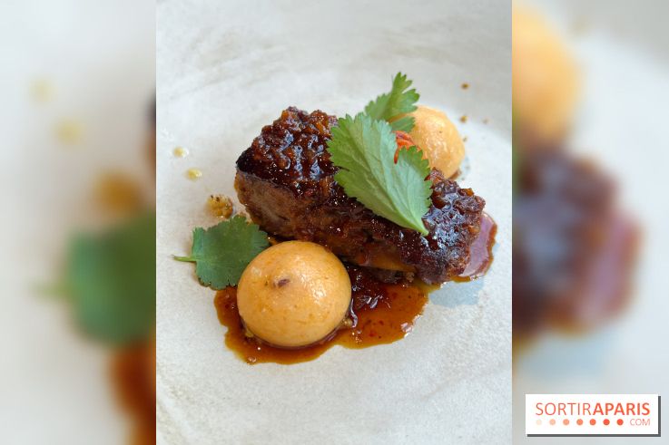 Vaisseau d'Adrien Cachot - Cochon de lait