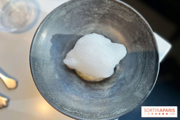 Vaisseau d'Adrien Cachot - Cabillaud