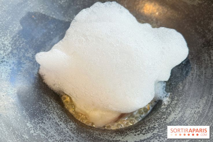 Vaisseau d'Adrien Cachot - Cabillaud