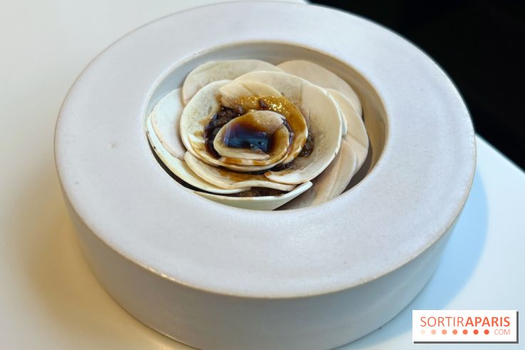 Vaisseau d'Adrien Cachot - Champignons