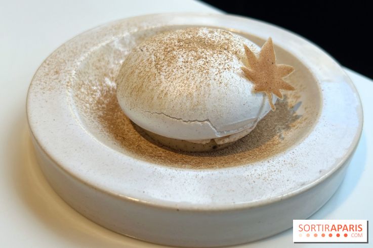 Vaisseau d'Adrien Cachot - Mont Blanc champignons