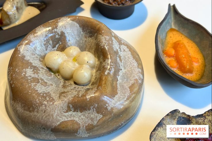 Vaisseau d'Adrien Cachot - Mochi