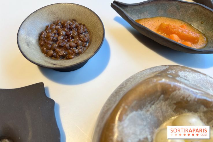 Vaisseau d'Adrien Cachot - Lentilles