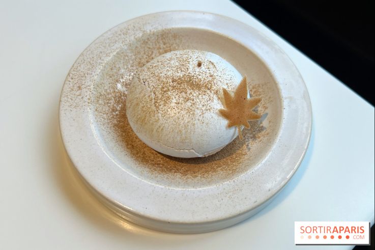 Vaisseau d'Adrien Cachot - Mont Blanc champignons