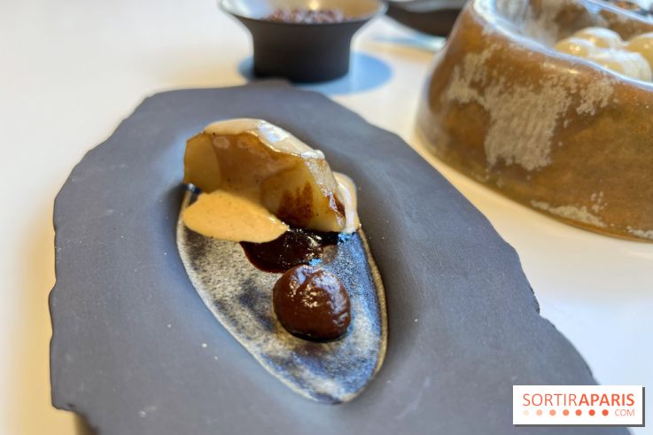 Vaisseau d'Adrien Cachot - Topinambour