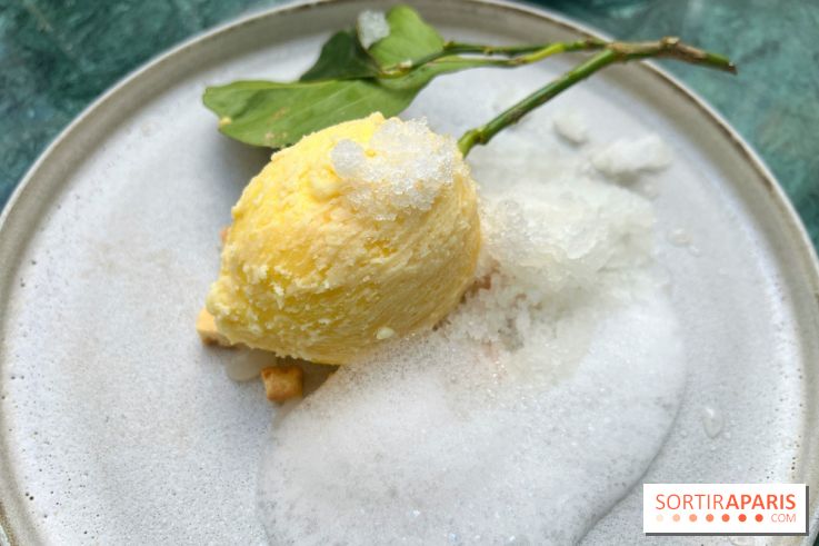 Halo de Victor Blanchet - Citron réaliste