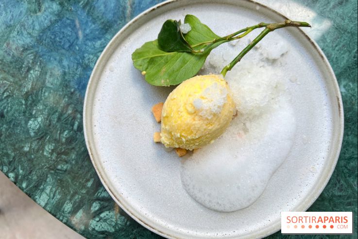 Halo de Victor Blanchet - Citron réaliste