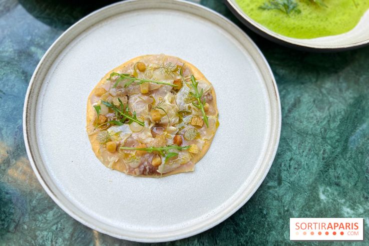 Halo de Victor Blanchet - Carpaccio de mulet