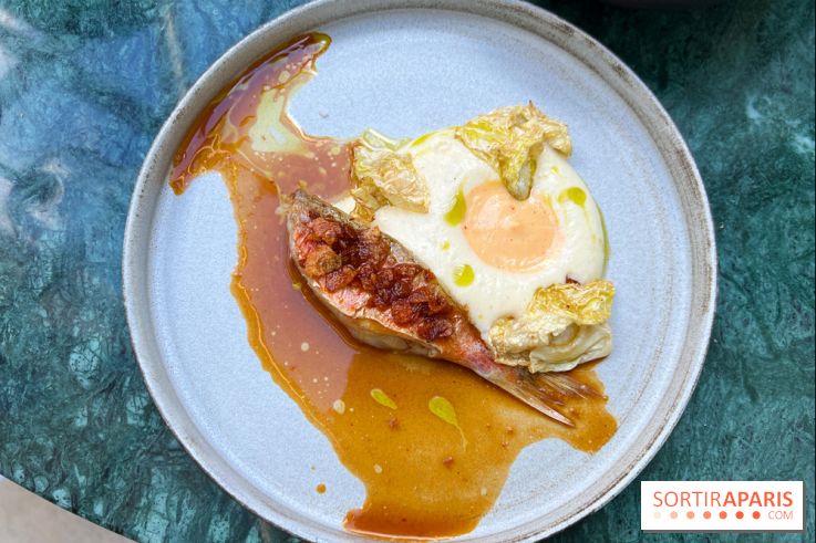 Halo de Victor Blanchet - Rouget et jus de bouillabaisse